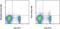 T Cell Immunoreceptor With Ig And ITIM Domains antibody, 50-9501-80, Invitrogen Antibodies, Flow Cytometry image 