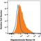 Oligodendrocyte Marker O4 antibody, FAB1326P, R&D Systems, Flow Cytometry image 