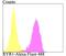 Ryanodine Receptor 1 antibody, NBP2-76960, Novus Biologicals, Flow Cytometry image 