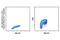 Cyclin Dependent Kinase 2 antibody, 2546S, Cell Signaling Technology, Flow Cytometry image 