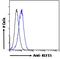 Kruppel Like Factor 15 antibody, 45-803, ProSci, Western Blot image 