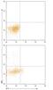 Interleukin 9 antibody, MAB209, R&D Systems, Flow Cytometry image 