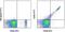 CD8b Molecule antibody, 11-0083-82, Invitrogen Antibodies, Flow Cytometry image 