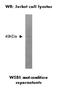 WD Repeat And SOCS Box Containing 1 antibody, NBP2-50365, Novus Biologicals, Western Blot image 