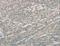 Ectodysplasin A2 Receptor antibody, LS-C401623, Lifespan Biosciences, Immunohistochemistry frozen image 