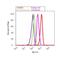 Calcium/Calmodulin Dependent Protein Kinase II Beta antibody, 13-9800, Invitrogen Antibodies, Flow Cytometry image 