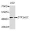 GTF2H2 Family Member C, Copy 2 antibody, STJ27210, St John