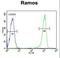 Chromosome 11 Open Reading Frame 53 antibody, LS-C156936, Lifespan Biosciences, Flow Cytometry image 