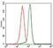 Protein Phosphatase, Mg2+/Mn2+ Dependent 1A antibody, NBP2-37480, Novus Biologicals, Flow Cytometry image 