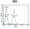 Mesoderm Posterior BHLH Transcription Factor 2 antibody, abx032591, Abbexa, Flow Cytometry image 