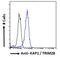 Tripartite Motif Containing 28 antibody, 45-162, ProSci, Immunohistochemistry frozen image 