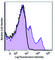 Interleukin 2 Receptor Subunit Beta antibody, 123217, BioLegend, Flow Cytometry image 