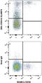 CD244 Molecule antibody, AF1039, R&D Systems, Flow Cytometry image 