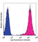 Melanoma Cell Adhesion Molecule antibody, 342002, BioLegend, Flow Cytometry image 