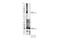 Fermitin Family Member 1 antibody, 36734S, Cell Signaling Technology, Western Blot image 