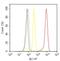 Vinculin antibody, 44-1074G, Invitrogen Antibodies, Flow Cytometry image 