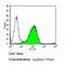 Dipeptidyl Peptidase 4 antibody, GTX15833, GeneTex, Flow Cytometry image 