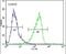 Calponin 3 antibody, PA5-13525, Invitrogen Antibodies, Flow Cytometry image 