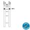 Amine Oxidase Copper Containing 3 antibody, AF3957, R&D Systems, Western Blot image 