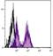 Killer Cell Lectin Like Receptor D1 antibody, NBP1-28119, Novus Biologicals, Flow Cytometry image 