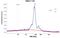 Par-3 Family Cell Polarity Regulator antibody, NBP1-88861, Novus Biologicals, Western Blot image 