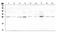 Loricrin antibody, A05290-1, Boster Biological Technology, Western Blot image 