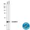 Peptidylprolyl Isomerase A antibody, AF3589, R&D Systems, Western Blot image 