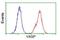 Vasodilator Stimulated Phosphoprotein antibody, NBP2-00555, Novus Biologicals, Flow Cytometry image 