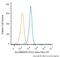 AXL Receptor Tyrosine Kinase antibody, NBP2-12044, Novus Biologicals, Flow Cytometry image 