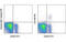 Killer Cell Immunoglobulin Like Receptor, Two Ig Domains And Long Cytoplasmic Tail 5A antibody, MBS833100, MyBioSource, Flow Cytometry image 