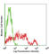 CD226 Molecule antibody, 338304, BioLegend, Flow Cytometry image 