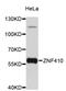 Zinc finger protein 410 antibody, abx003724, Abbexa, Western Blot image 