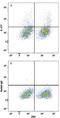 Interleukin 17F antibody, MAB20571, R&D Systems, Flow Cytometry image 