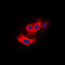 P21 (RAC1) Activated Kinase 4 antibody, LS-C353257, Lifespan Biosciences, Immunofluorescence image 