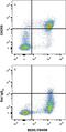 C-X-C Motif Chemokine Receptor 5 antibody, MAB6198, R&D Systems, Flow Cytometry image 