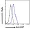 O-Linked N-Acetylglucosamine (GlcNAc) Transferase antibody, 45-995, ProSci, Western Blot image 