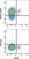 SLAM Family Member 7 antibody, FAB4628A, R&D Systems, Flow Cytometry image 