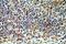 Transmembrane And Coiled-Coil Domains 6 antibody, 20117-1-AP, Proteintech Group, Immunohistochemistry frozen image 