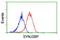 Synaptojanin 2 Binding Protein antibody, LS-C173606, Lifespan Biosciences, Flow Cytometry image 