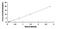 Folliculin antibody, MBS2022660, MyBioSource, Enzyme Linked Immunosorbent Assay image 