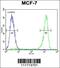 Vascular Endothelial Growth Factor C antibody, 56-135, ProSci, Immunofluorescence image 