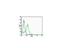 Integrin Subunit Beta 5 antibody, GTX03382, GeneTex, Flow Cytometry image 