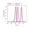 Caveolin 3 antibody, PA1-066, Invitrogen Antibodies, Flow Cytometry image 