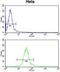 Derlin 1 antibody, GTX81054, GeneTex, Flow Cytometry image 