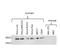 Ubiquitin Specific Peptidase 30 antibody, NBP1-79335, Novus Biologicals, Western Blot image 