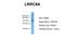 Leucine Rich Repeat Containing 8 VRAC Subunit A antibody, NBP1-59493, Novus Biologicals, Western Blot image 