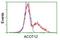 Acyl-CoA Thioesterase 12 antibody, NBP2-03605, Novus Biologicals, Flow Cytometry image 