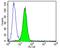 Erb-B2 Receptor Tyrosine Kinase 4 antibody, NB120-3104, Novus Biologicals, Flow Cytometry image 