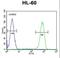 Caspase-12 antibody, LS-C168327, Lifespan Biosciences, Flow Cytometry image 