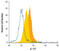 Interleukin 17F antibody, MAB13351, R&D Systems, Flow Cytometry image 